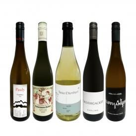  現地発掘 爽やか微発泡ワイン wine 入り ドイツ白ワイン wine 5本セット set 