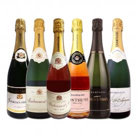  豪華絢爛 ロゼ rose シャンパンも入った圧倒的贅沢シャンパン これぞ最高級エレガンス 辛口シャンパン6本セット set 