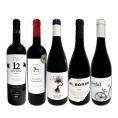  たっぷりコク旨 スペイン Spain 濃厚フルボディ赤ワイン wine 5本セット set 