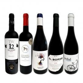  たっぷりコク旨 スペイン Spain 濃厚フルボディ赤ワイン wine 5本セット set 