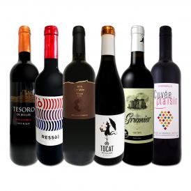  スペイン Spain 全土の地ワイン wine 満喫 スペイン Spain おうちバル赤ワイン wine 6本セット set 