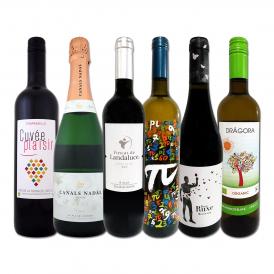  スペイン Spain 担当厳選 スペイン Spain 固有品種を知るならこの6本 スペイン Spain おうちバル6本セット set 