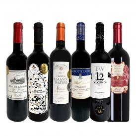  第12弾 当店 極 厳選 赤ワイン wine 好きならこのセット set 格別の美味しさ コク旨上質赤ワイン wine を存分に味わう贅沢赤ワイン wine 6本セット set 
