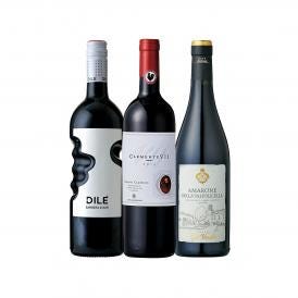  アマローネ入り イタリア Italy 濃旨ワイン wine 3本セット set 