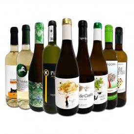  おうちタパスにピッタリ スペイン Spain 各地の白飲み比べ おうちバル白ワイン wine 9本セット set 