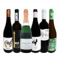  華麗なる新時代スペイン Spain ワイン wine セット set 