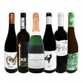  華麗なる新時代スペイン Spain ワイン wine セット set 