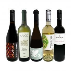  独自輸入 世界のオーガニックワイン wine 5本セット set 