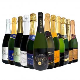 スパークリング sparkling ワイン wine セット set 第65弾 選び抜いたハイクオリティ泡ばかり12本 辛口スパークリング sparkling ワイン wine セット set ワイ 