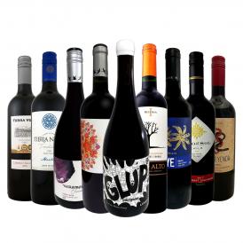  今や輸入量ナンバーワンに輝くチリ 厳選赤ワイン wine ９本セット set 