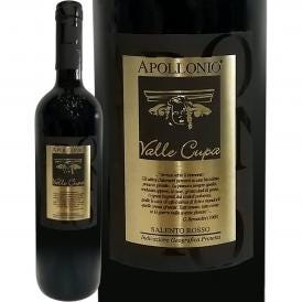 アッポローニオ・ヴァッレ・クーパ 2017 イタリア Italy 赤ワイン wine 750ml フルボディ 辛口 