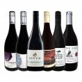  ピノ好き集まれ 新世界のお値打ちピノ６本セット set 