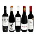  たっぷりコク旨 スペイン Spain 濃厚フルボディ赤ワイン wine 5本セット set 