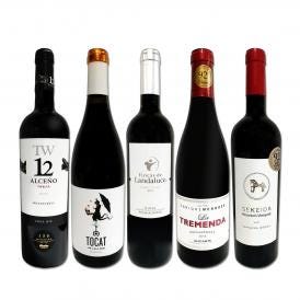  たっぷりコク旨 スペイン Spain 濃厚フルボディ赤ワイン wine 5本セット set 