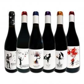  凄腕コカ・イ・フィト兄弟のスタイリッシュなスペイン Spain 赤ワイン wine 6本セット set 