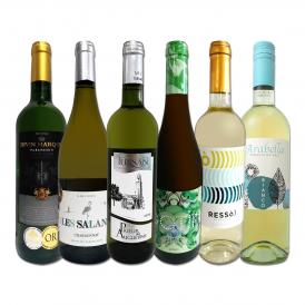 白ワイン wine セット set 第185弾 採算度外視の謝恩企画 当店厳選 特大感謝の大満足白ワイン wine 6本セット set ワイン wine セット set 金賞ワイン wine 飲 