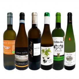  第19弾 当店 極 厳選 白ワイン wine 好きならこのセット set 格別の美味しさ 華やかな上質白ワイン wine を存分に味わう贅沢白ワイン wine 6本セット set 