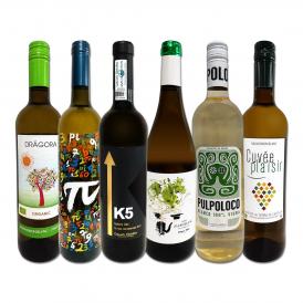  目からウロコ スペイン Spain 白ワイン wine の いま は超激旨 スペイン Spain おうちバル白ワイン wine 6本セット set 