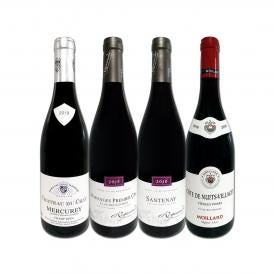  すべて村名クラス 厳選ブルゴーニュ bourgogne 赤ワイン wine 4本セット set 