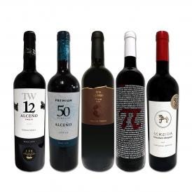  たっぷりコク旨 スペイン Spain 濃厚フルボディ赤ワイン wine 5本セット set 