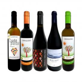  すべて有機認証付 オーガニックスペイン Spain ワイン wine 5本セット set 