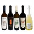  大人気イタリア Italy ン チウ・チウ 激旨5本セット set 