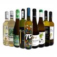  おうちタパスにピッタリ スペイン Spain 各地の白飲み比べ おうちバル白ワイン wine 9本セット set 