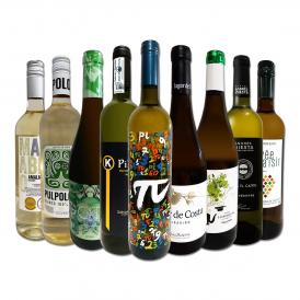  おうちタパスにピッタリ スペイン Spain 各地の白飲み比べ おうちバル白ワイン wine 9本セット set 