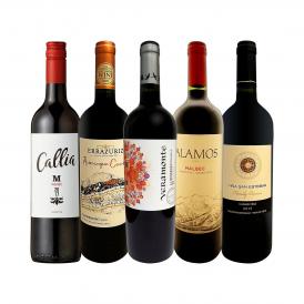  肉料理にばっちり ボルドー bordeaux 人が今も愛する南米カルメネール＆マルベック厳選5本セット set 
