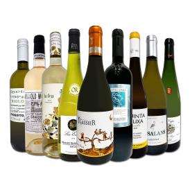  110セット set 限り 端数在庫一掃 白ワイン wine 9本セット set 