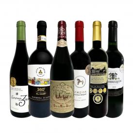  第14弾 当店 極 厳選 赤ワイン wine 好きならこのセット set 格別の美味しさ コク旨上質赤ワイン wine を存分に味わう贅沢赤ワイン wine 6本セット set 