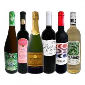  スペイン Spain 担当厳選 スペイン Spain 固有品種を知るならこの6本 スペイン Spain おうちバル6本セット set 