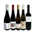  独自輸入 ワンランク格上・オーガニック認証付き リースリング・ピノノワール飲み比べ5本セット set 