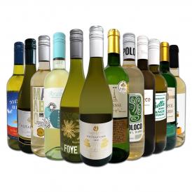  第48弾 1本あたり732円 税込 採算度外視の大感謝 厳選白ワイン wine 12本セット set 