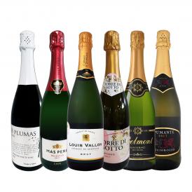 スパークリング sparkling ワイン wine セット set 第182弾 ベスト・オブ・スパーク 当店厳選 高級クレマン clement も入った極旨泡ばかりの辛口スパークリング