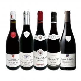  90セット set 限り 厳選ブルゴーニュ bourgogne 赤ワイン wine 5本セット set 