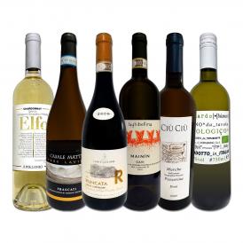  充実感たっぷりのイタリア Italy 白ワイン wine 6本セット set 