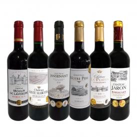 赤ワイン wine セット set 第231弾 全て金賞受賞 史上最強級 キング・オブ・金メダル 極旨ボルドー bordeaux 赤ワイン wine 6本セット set ワイン wine セット 