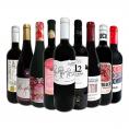  おうちタパスにピッタリ スペイン Spain 各地の赤飲み比べ おうちバル赤ワイン wine 9本セット set 