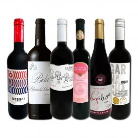  スペイン Spain 全土の地ワイン wine 満喫 スペイン Spain おうちバル赤ワイン wine 6本セット set 