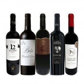  たっぷりコク旨 スペイン Spain 濃厚フルボディ赤ワイン wine 5本セット set 