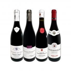  すべて村名クラス 厳選ブルゴーニュ bourgogne 赤ワイン wine 4本セット set 