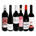  スペイン Spain 全土の地ワイン wine 満喫 スペイン Spain おうちバル赤ワイン wine 6本セット set 