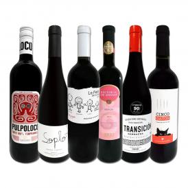  スペイン Spain 全土の地ワイン wine 満喫 スペイン Spain おうちバル赤ワイン wine 6本セット set 
