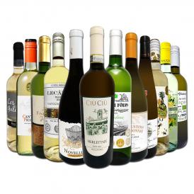  第45弾 当店オススメばかりを厳選したちょっといい白ワイン wine 12本セット set 
