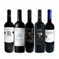  たっぷりコク旨 スペイン Spain 濃厚フルボディ赤ワイン wine 5本セット set 