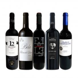  たっぷりコク旨 スペイン Spain 濃厚フルボディ赤ワイン wine 5本セット set 