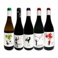 凄腕コカ・イ・フィト兄弟のスタイリッシュなスペイン Spain ワイン wine 5本セット set 