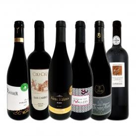  第28弾 濃厚赤ワイン wine 好き必見 大満足のフルボディ6本セット set 