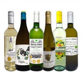 白ワイン wine セット set 第188弾 採算度外視の謝恩企画 当店厳選 特大感謝の大満足白ワイン wine 6本セット set ワイン wine セット set 金賞ワイン wine 飲 